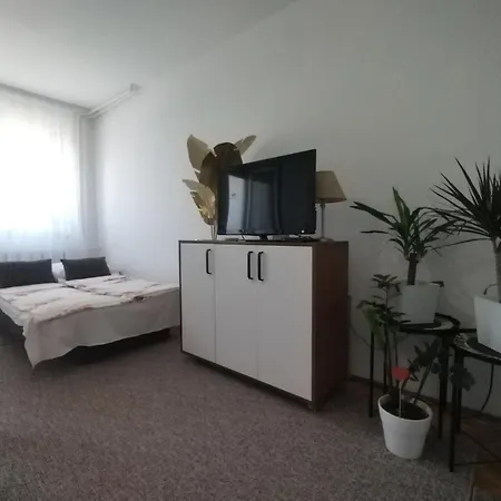 Apartman Vladimir Novi Sad Exteriör bild