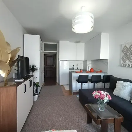 Apartman Vladimir Novi Sad Exteriör bild