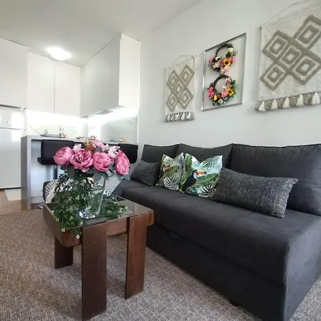 Apartman Vladimir Novi Sad Exteriör bild